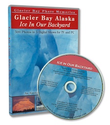 DVD Ice in our backyard