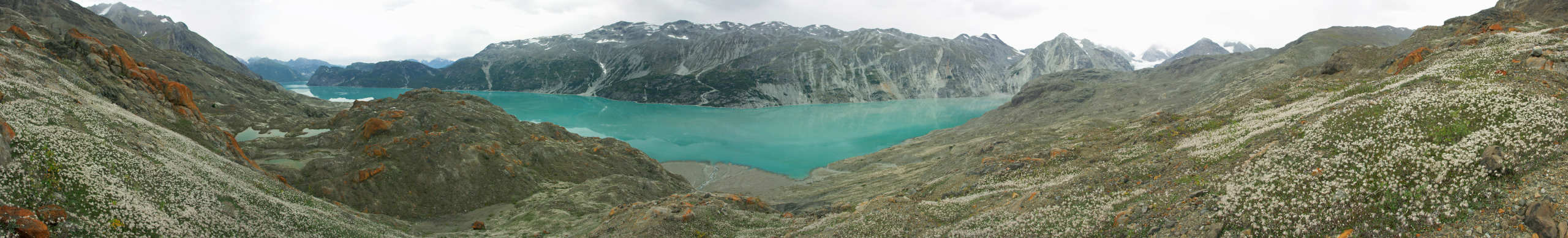 Glacier Bay landscape