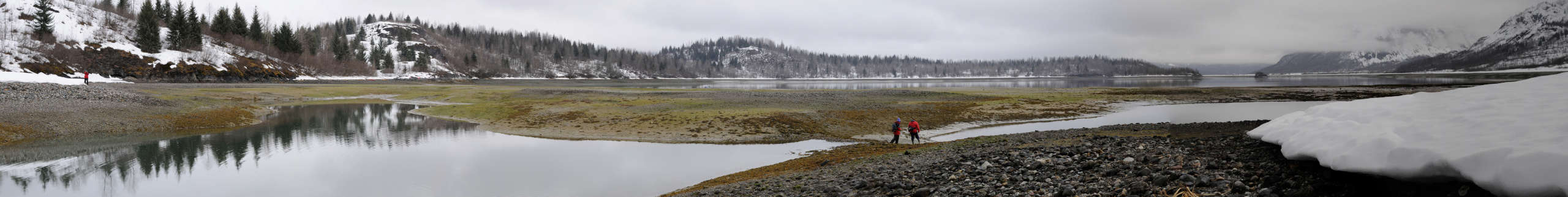 Glacier Bay landscape