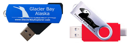 Flash drive horizontal