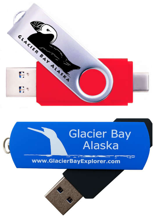 Flash drive vertical